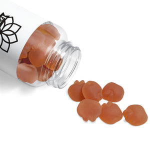 Apple Cider Vinegar Gummies (60 Gummies)